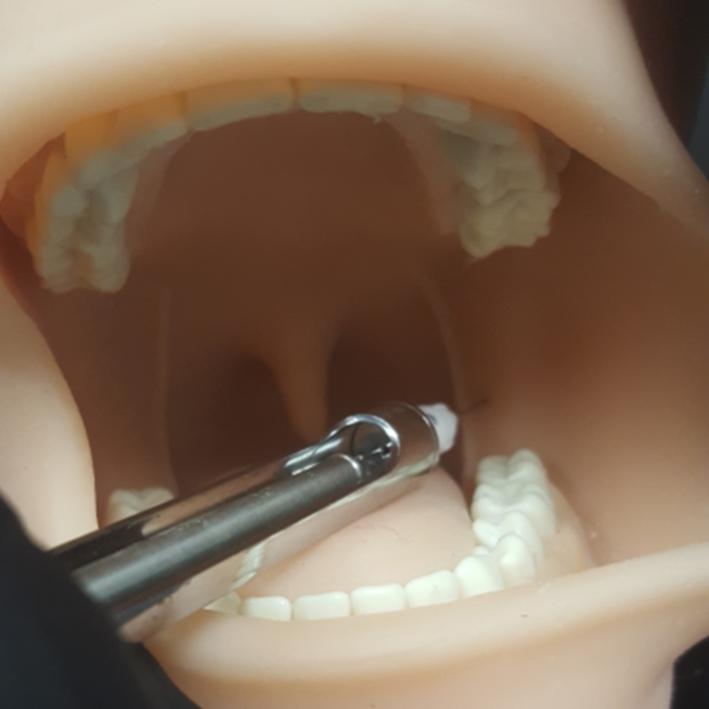 Oral Anesthesia Manikin with Light Sensors Only