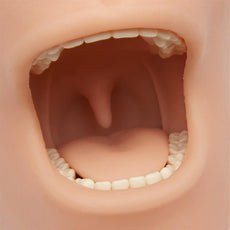 Oral Anesthesia Manikin with Light Sensors Only
