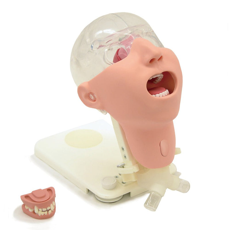 Oral Care Simulator Advanced