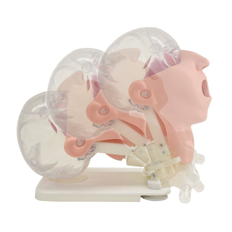 Oral Care Simulator Advanced