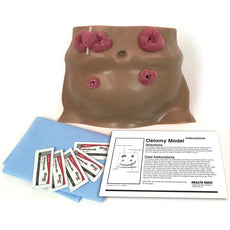 Ostomy Care Model, Brown