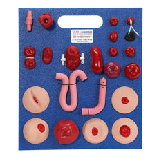 Otto Ostomy Stoma Package - Advanced