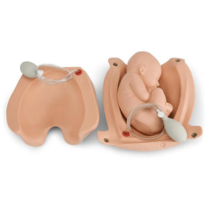 Palpation Module for Leopold Maneuvers, Light