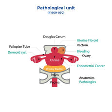 Pathology Unit