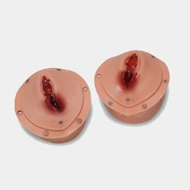 Postpartum Episiotomy Suture Trainer