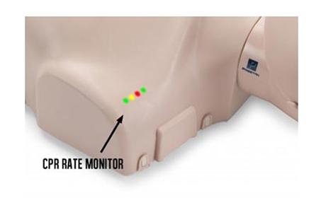 Prestan Adult CPR Training Manikin
