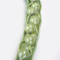 Rapaseed  Model (Brassica napus ssp. oleifera) Model
