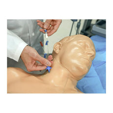 Regional Anesthesia and Ultrasound Central Line Training Model