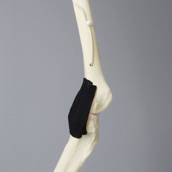 Replacement Knee Insert, Encapsulated ACL with Adjustable Ligament ...