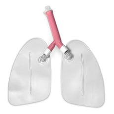 Replacement Lungs for Airway Management Trainer Manikins