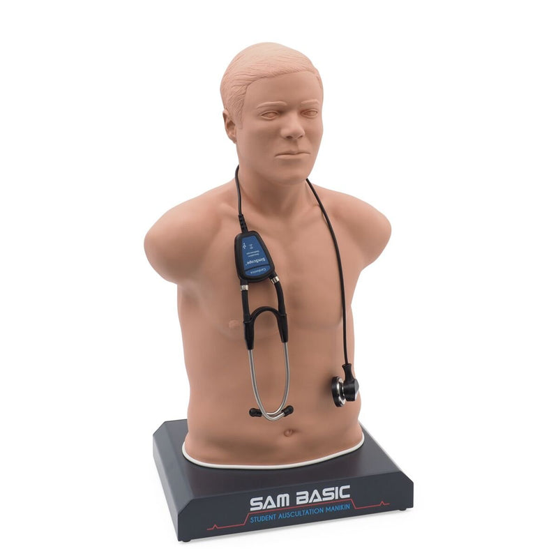 SAM BASIC<sup>®</sup> - Adult Auscultation Trainer with SimScope Wi-Fi Training Stethoscope, Light