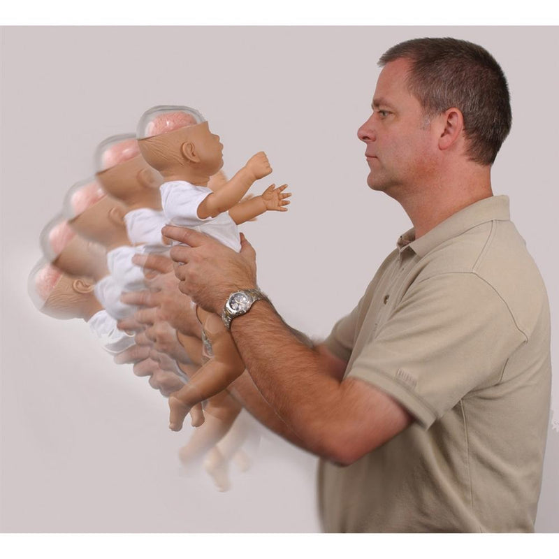 Shaken Baby Demonstration Model
