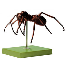 SOMSO Ant Model