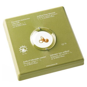 SOMSO Artificial bony labyrinth