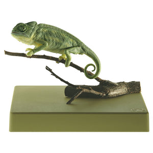 SOMSO Chameleon, Chamaeleo