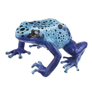 SOMSO Dendrobates Tinctorius ''Azureus''