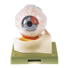 SOMSO Eyeball - 7 parts
