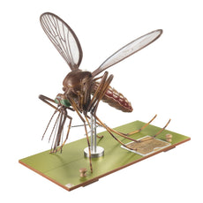 SOMSO Model of a Mosquito
