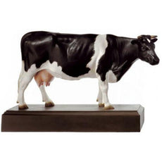 SOMSO Model of Fresian Dutch Cow