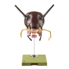 SOMSO Model of the Head of a Cockroach