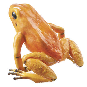 SOMSO Phyllobates Terribilis, female, orange