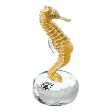 SOMSO Sea Horse, Hippocampus