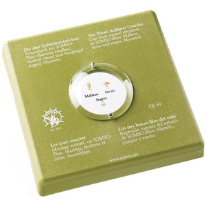 SOMSO The Three Auditory Ossicles Separately Mounted