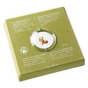 SOMSO Three Auditory Ossicles with artificial labyrinth