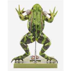 SOMSo ZoS 100-1 Water Frog Model