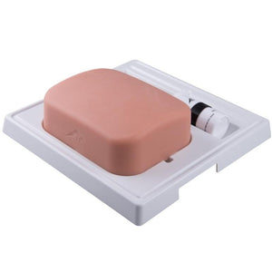 SONOtrain™ Gallbladder Model