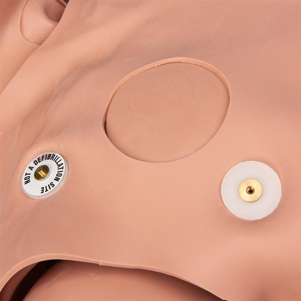 STAT Simulator with Deluxe Advanced Airway Management Head ...