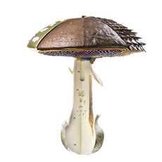 Structure of Hat Fungi