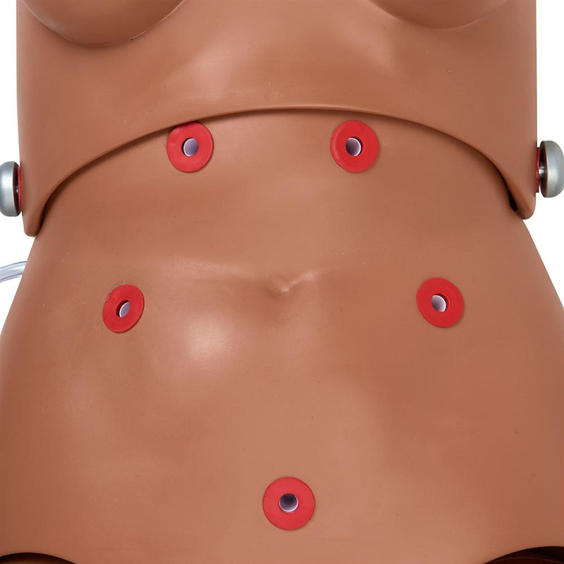 Susie® Simon®  Patient Care Simulator without Ostomy, Light