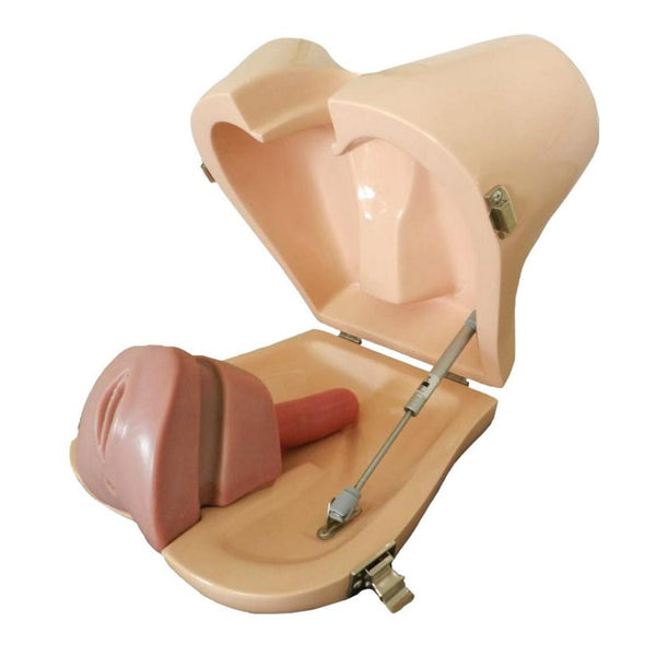 Transanal Endoscopic Surgery Simulator, Proctology Module ...