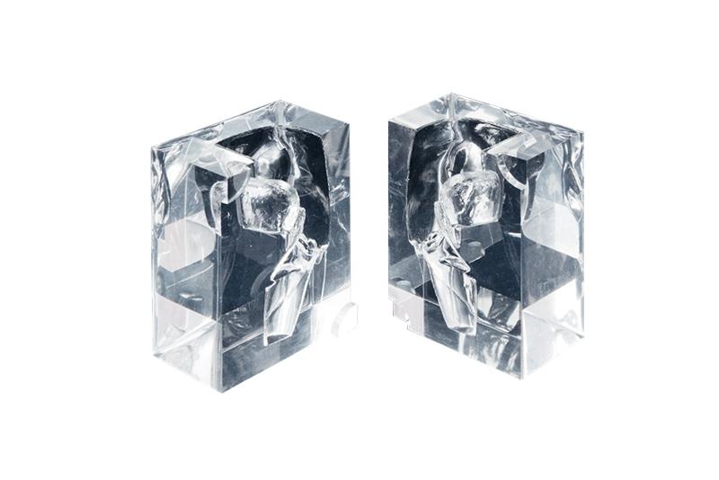 Transparent Laryngopharynx Model