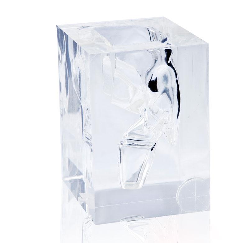 Transparent Laryngopharynx Model