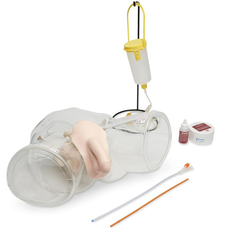 Transparent Male Catheter Model