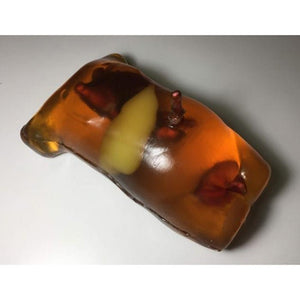 Transparent Newborn Torso for X-Ray CT and Ultrasound