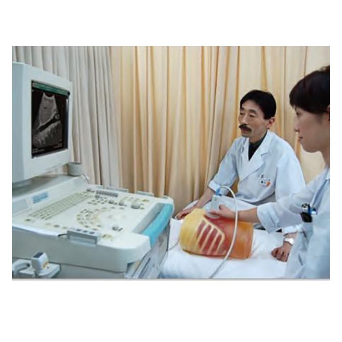 Ultrasound Exam 'ECHOZY' without Pathologies