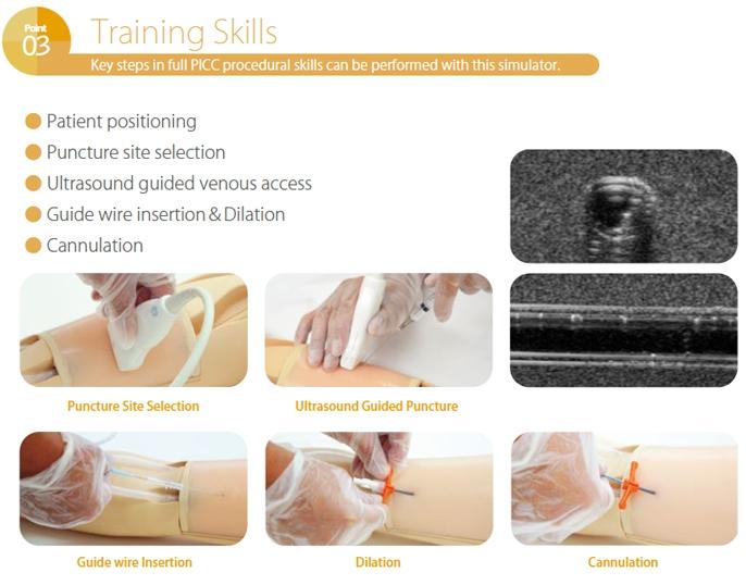 Ultrasound-Guided PICC Training Simulator