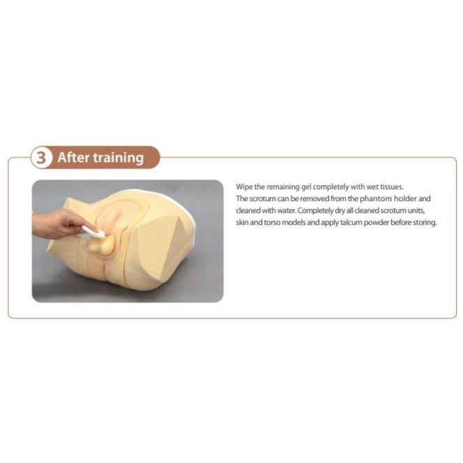 Ultrasound Scrotal Phantom