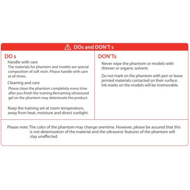 Ultrasound Scrotal Phantom