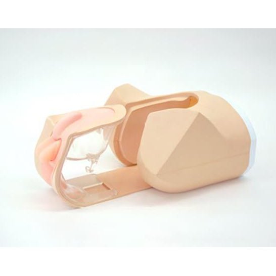 Ultrasound Scrotal Phantom