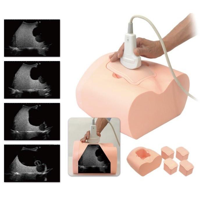 Urine Volume Measurement Training Simulator for Ultrasound Only