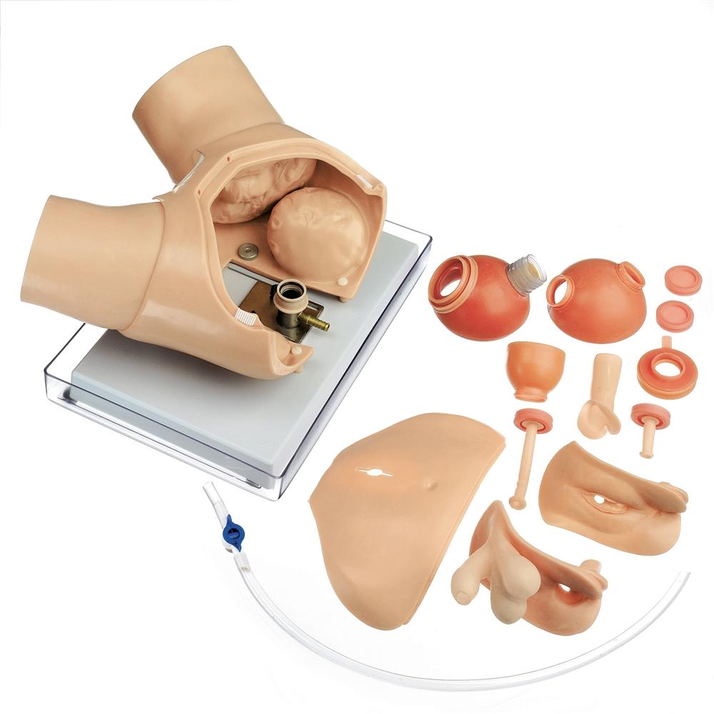 Prostate Simulators Prostate Exam Simulator