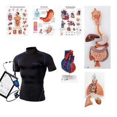 Wearable Auscultation Training Set "Intro" with SimShirt
