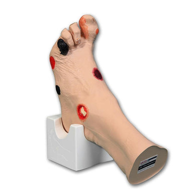 Wound Care Models | Bedsore Models – GTSimulators.com