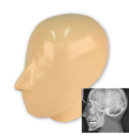 X-Ray Phantom Head, Opaque