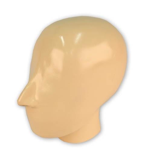 X-Ray Phantom Head With Cervical Vertebrae, Opaque