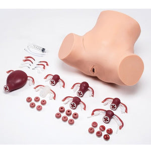 ZOE® Gynecologic Skills Trainer, Dark